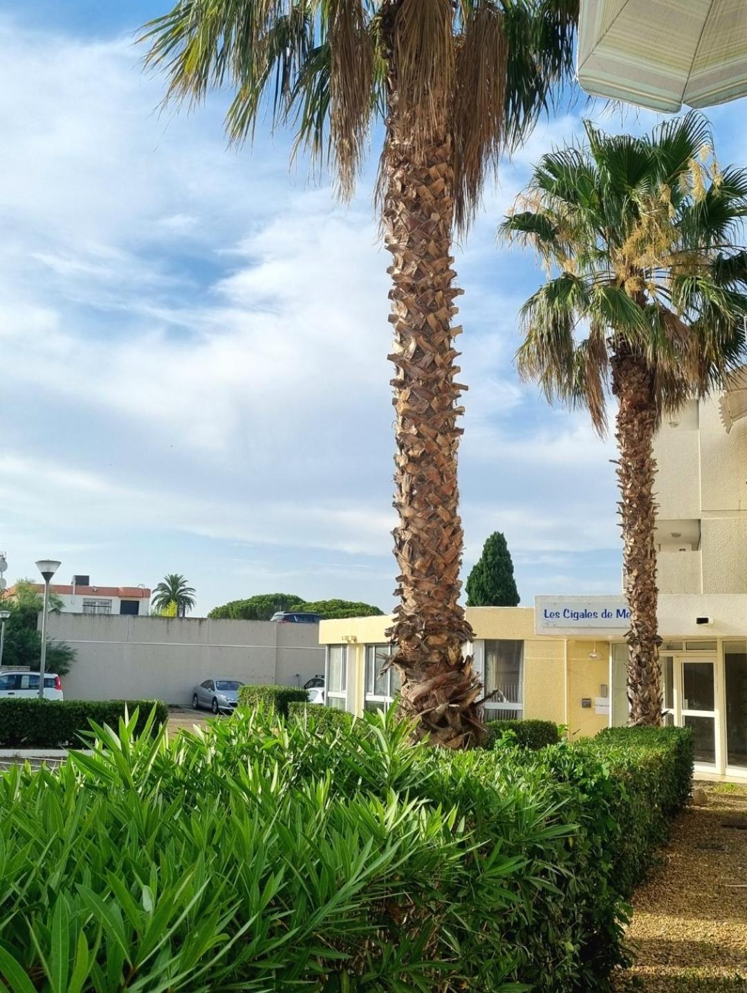 100 M De La Plage - Les Cigales De Mer - Studio Cabine - Parking Le Grau-du-Roi Buitenkant foto